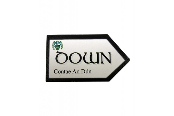 Down  - County Road Sign Magnet